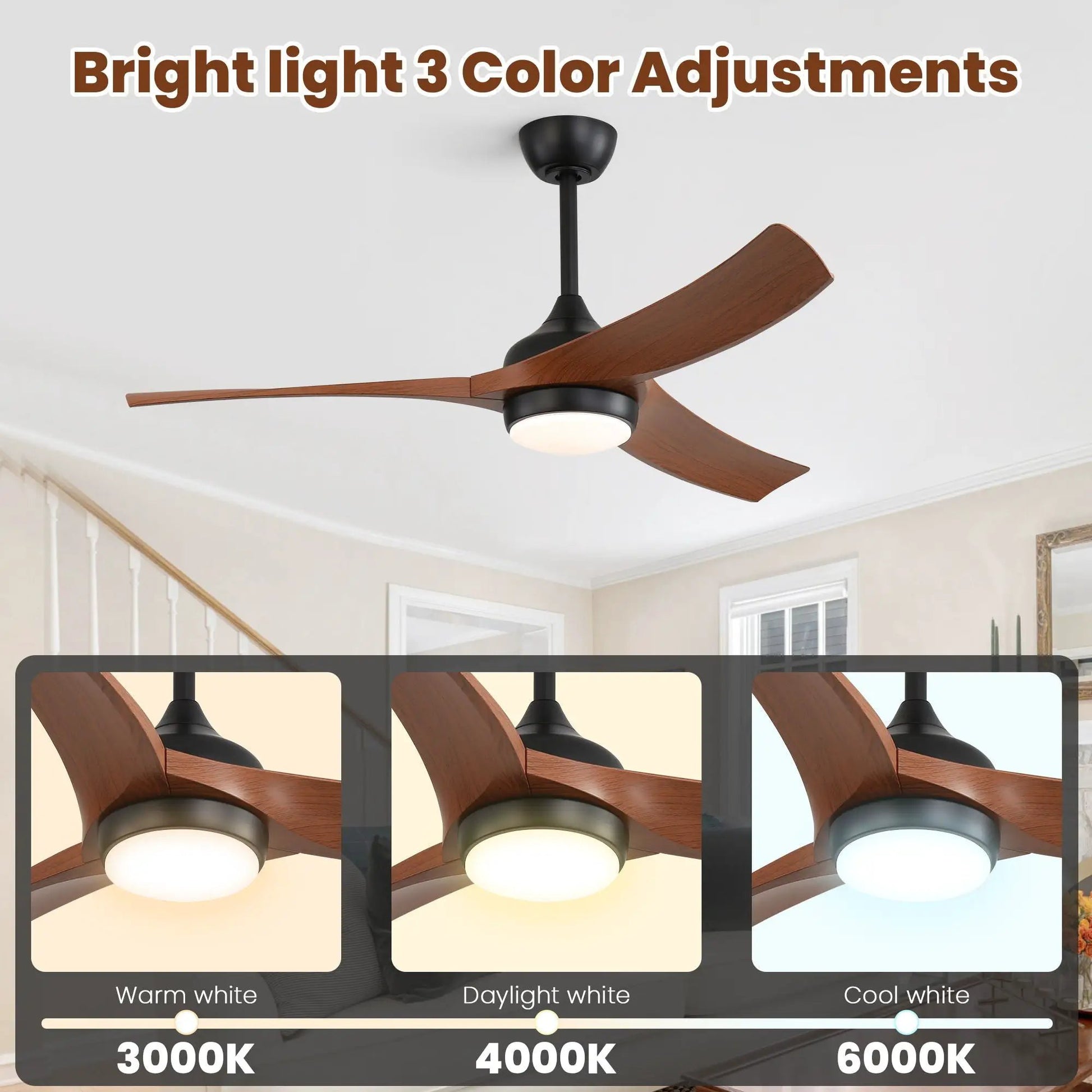 Ceiling fan with 3 wood blades and black housing, frosted LED light on Tampa Home & Garden Store