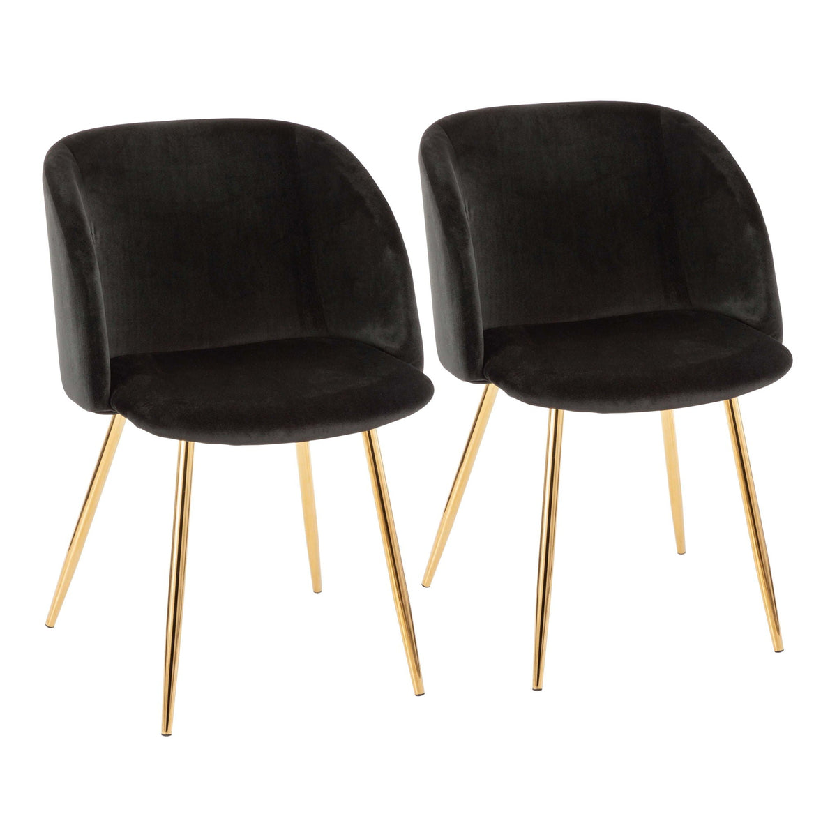 Black velvet chair set with padded seats and gold legs, 2 chairs, modern design on Tampa Home & Garden Store