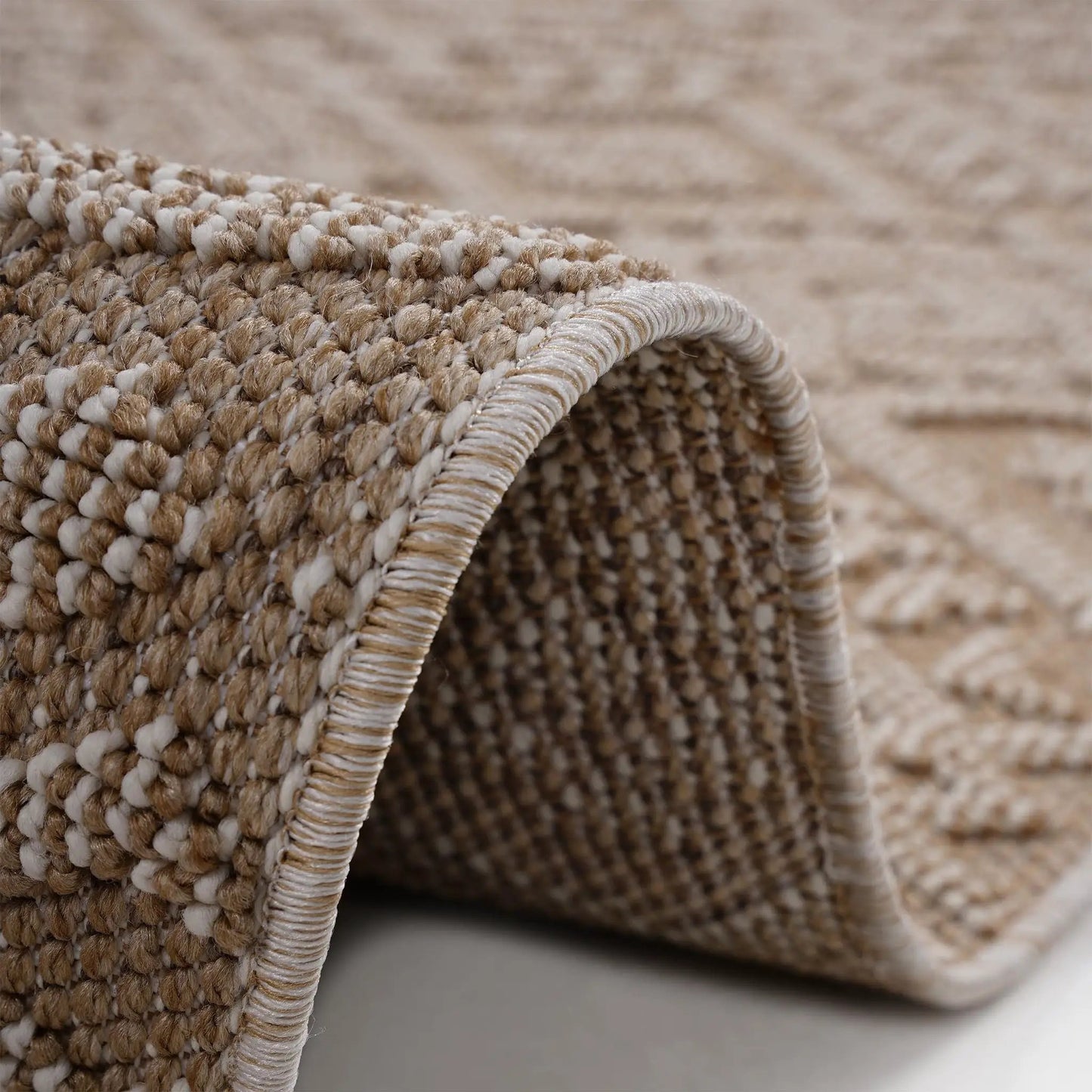 Guros Trendy Traditional Indoor and Outdoor Rug