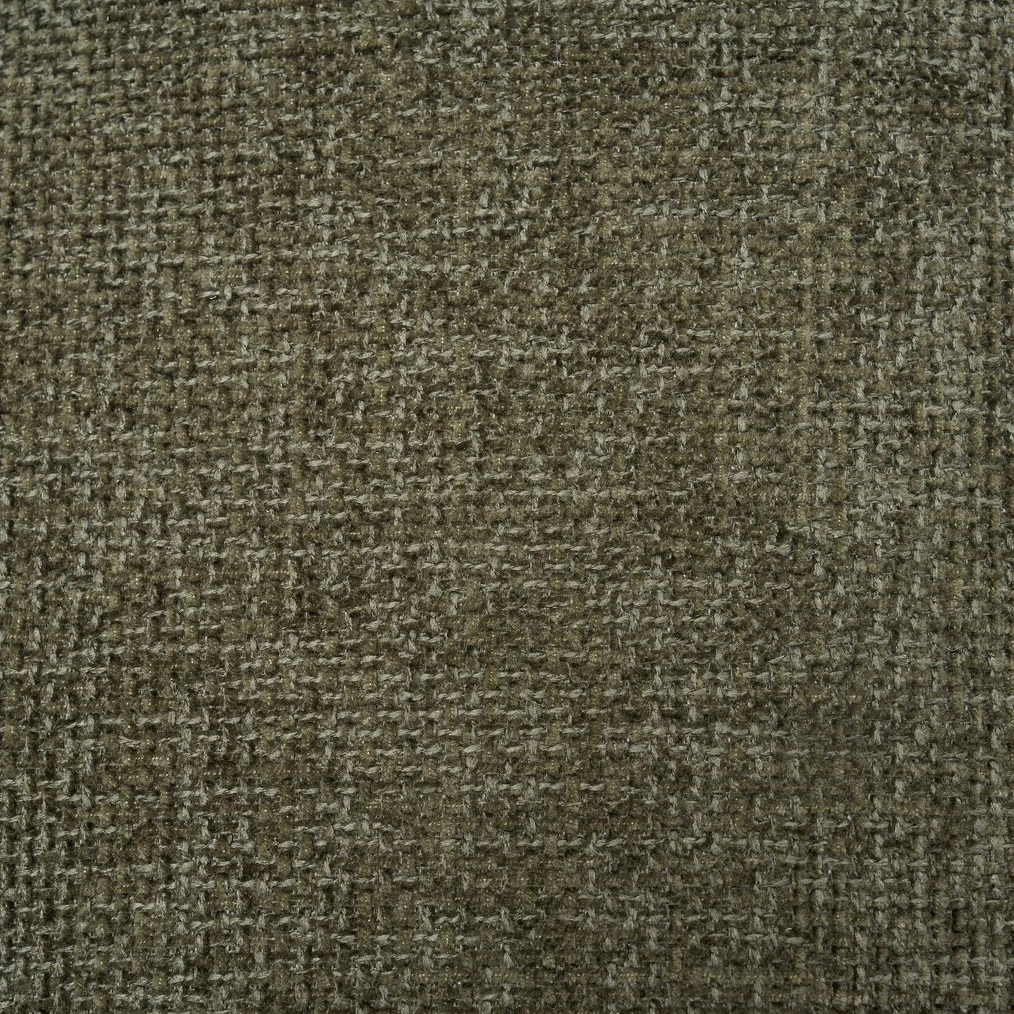 Brown textured carpet close-up in a living room setting, neutral backdrop for upholstery imagery on Tampa Home & Garden Store
