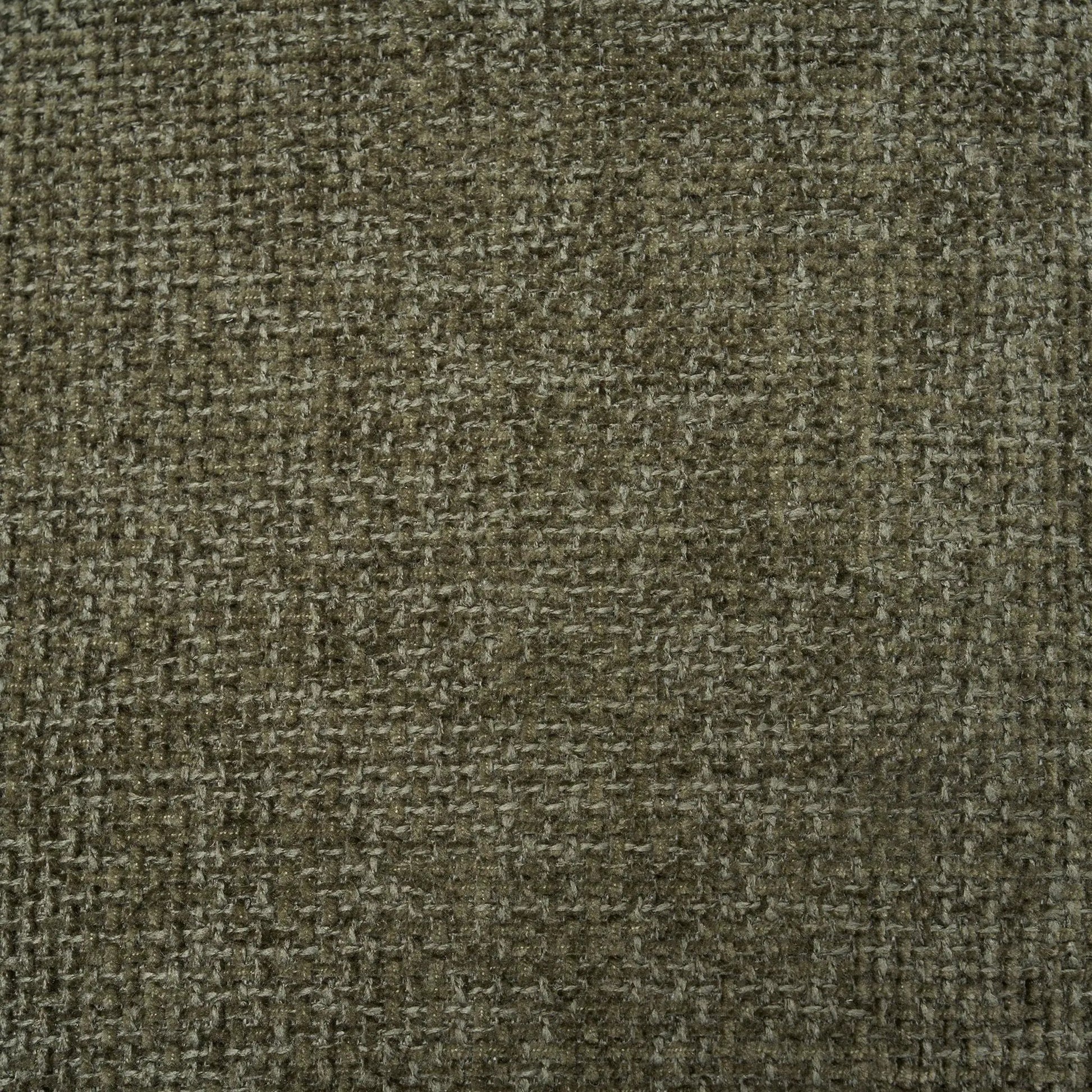 Brown textured carpet close-up in a living room setting, neutral backdrop for upholstery imagery on Tampa Home & Garden Store