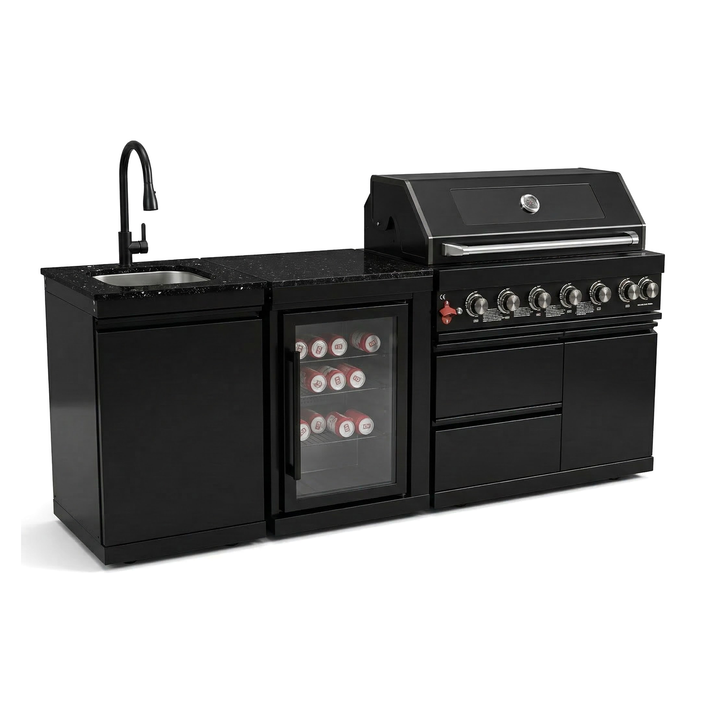 6 Burner Outdoor Grill with Stainless Steel