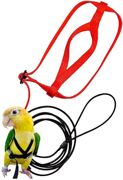 Parrot flying harness with red straps and black leash Sell My Stuff Bird Cages & Stands on Tampa Home & Garden Store