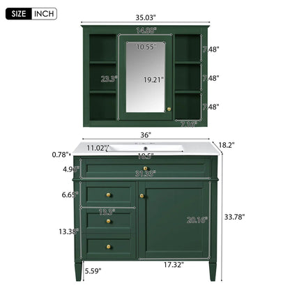 Bathroom vanity with mirror cabinet green finish single sink 2 soft-close doors 4 drawers on Tampa Home & Garden Store