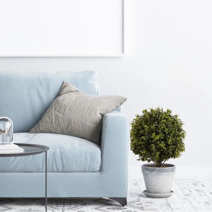 Artificial ball-topiary trees in pots set of 2, green foliage by Unique Piece Furniture on Tampa Home & Garden Store