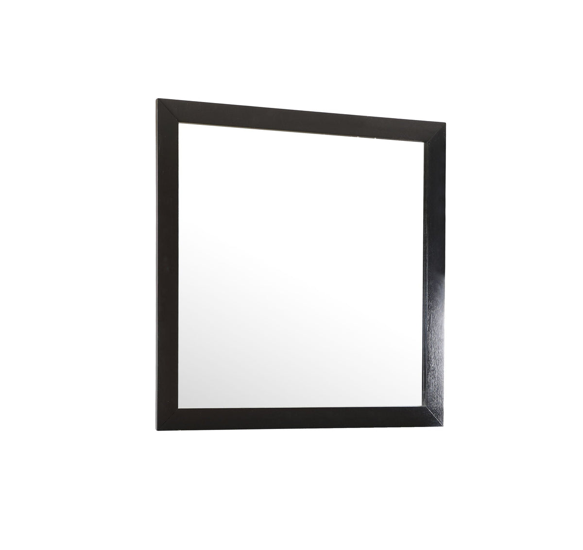 Burlington Modern Design Transitional Wall Mirror with black wood frame on Tampa Home & Garden Store
