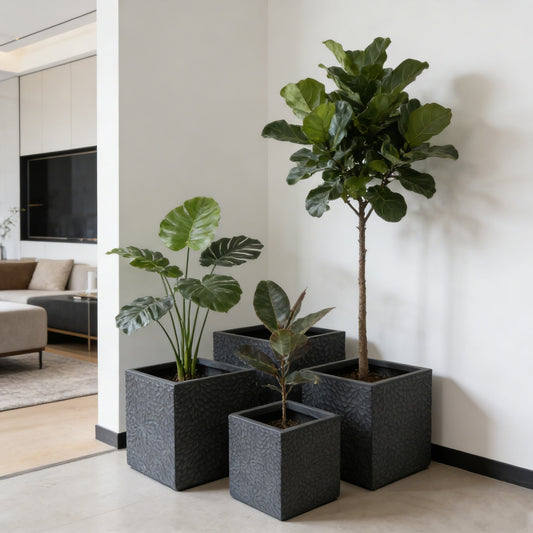 Planters set of 4: large magnesium oxide, dark textured gray pots with green leafy plants on Tampa Home & Garden Store