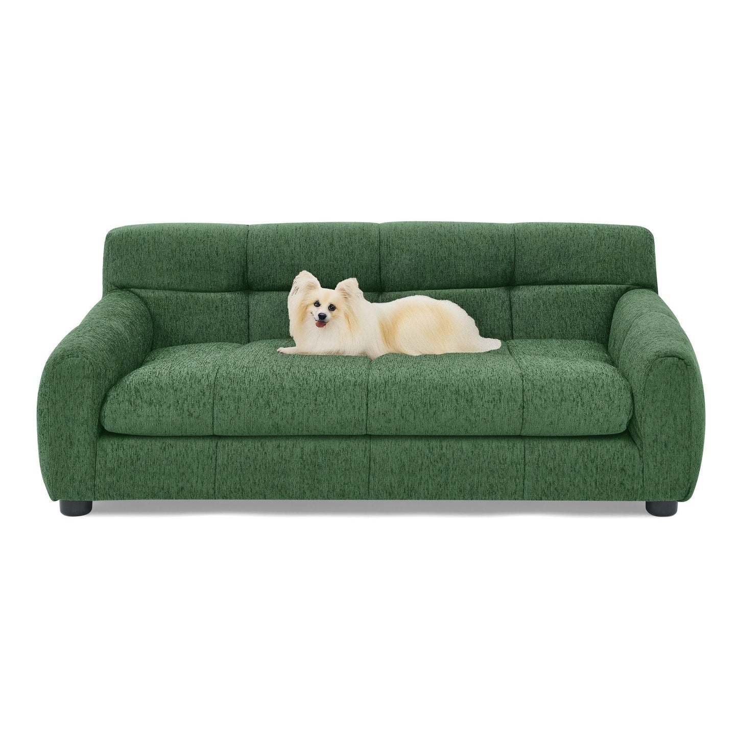 Modern Pet Sofa With Backrest And Armrests in green upholstery with a small white dog on it on Tampa Home & Garden Store