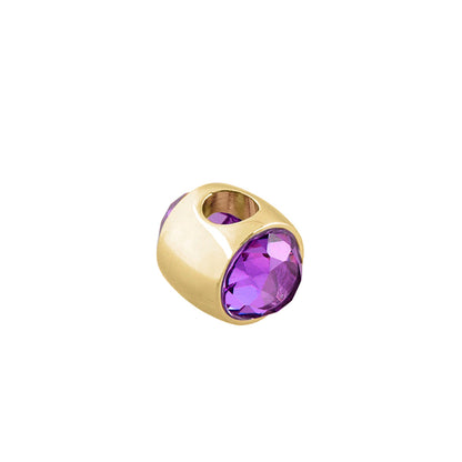 Gabriella Beads Birthstone charm bead in gold-tone with purple crystal gem Lauren G Adams on Tampa Home & Garden Store