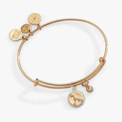 Cancer Zodiac charm bangle by ALEX AND ANI in rose gold with hanging disk charms on Tampa Home & Garden Store