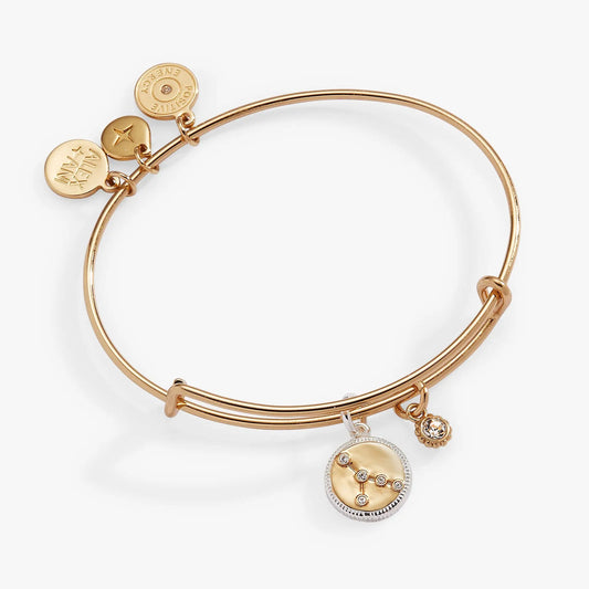 Cancer Zodiac charm bangle by ALEX AND ANI in rose gold with hanging disk charms on Tampa Home & Garden Store