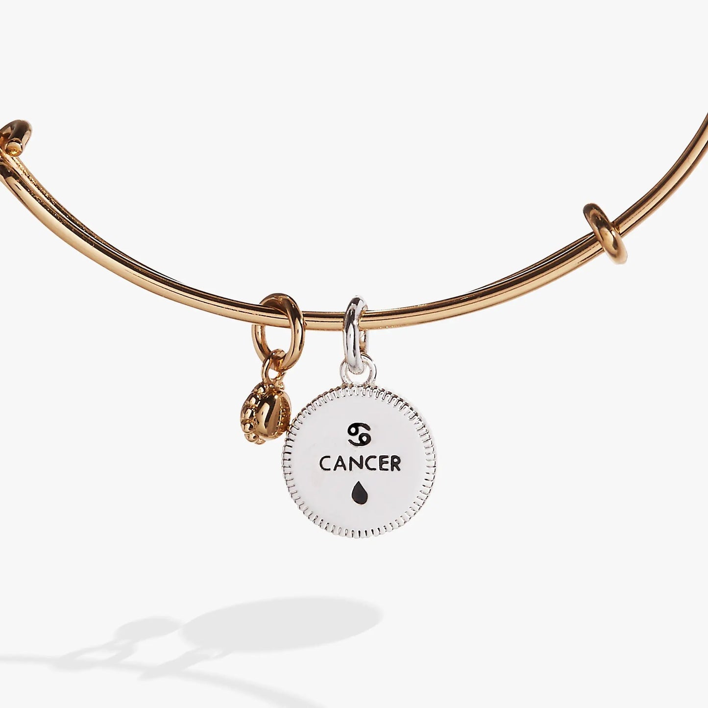 ALEX AND ANI Cancer zodiac charm bangle in rose-gold tone with white enamel Cancer charm on Tampa Home & Garden Store
