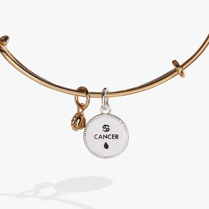 ALEX AND ANI Cancer zodiac charm bangle in rose-gold tone with white enamel Cancer charm on Tampa Home & Garden Store