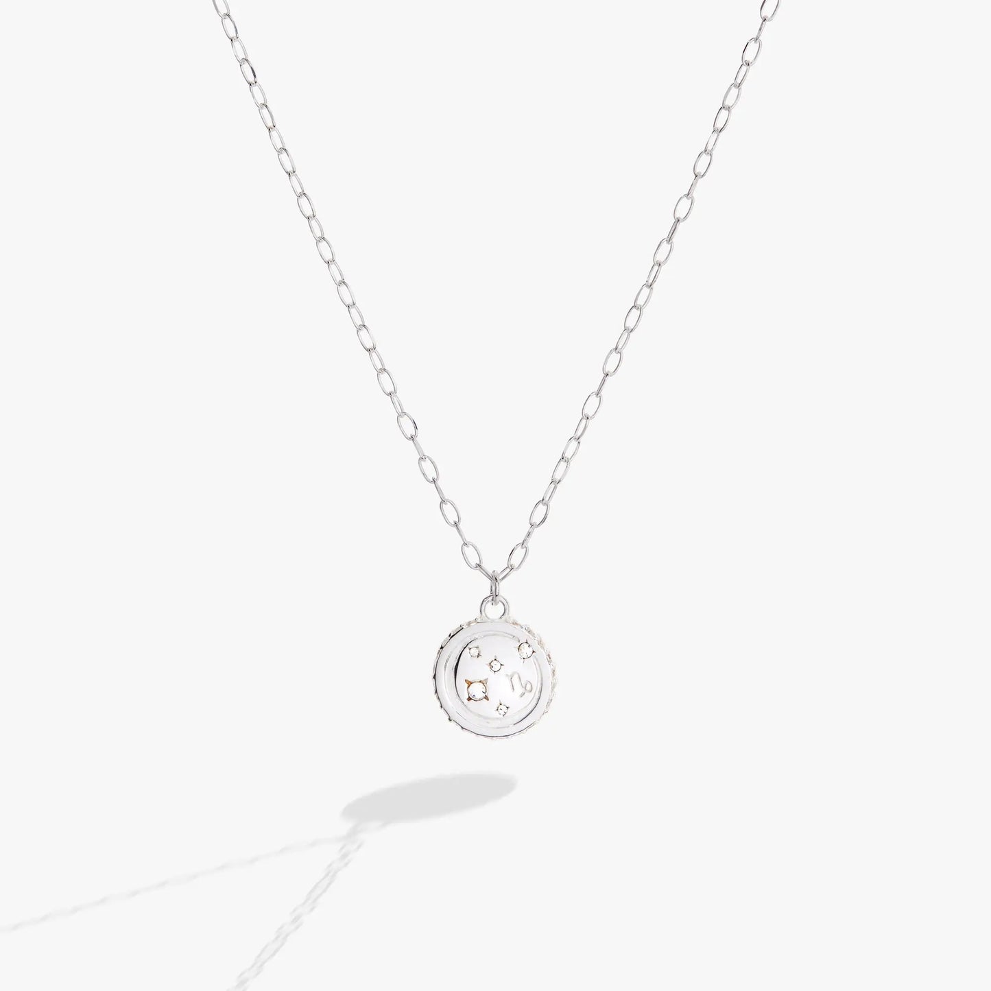 Capricorn Zodiac Precious Necklace, silver-tone chain with round zodiac pendant on Tampa Home & Garden Store