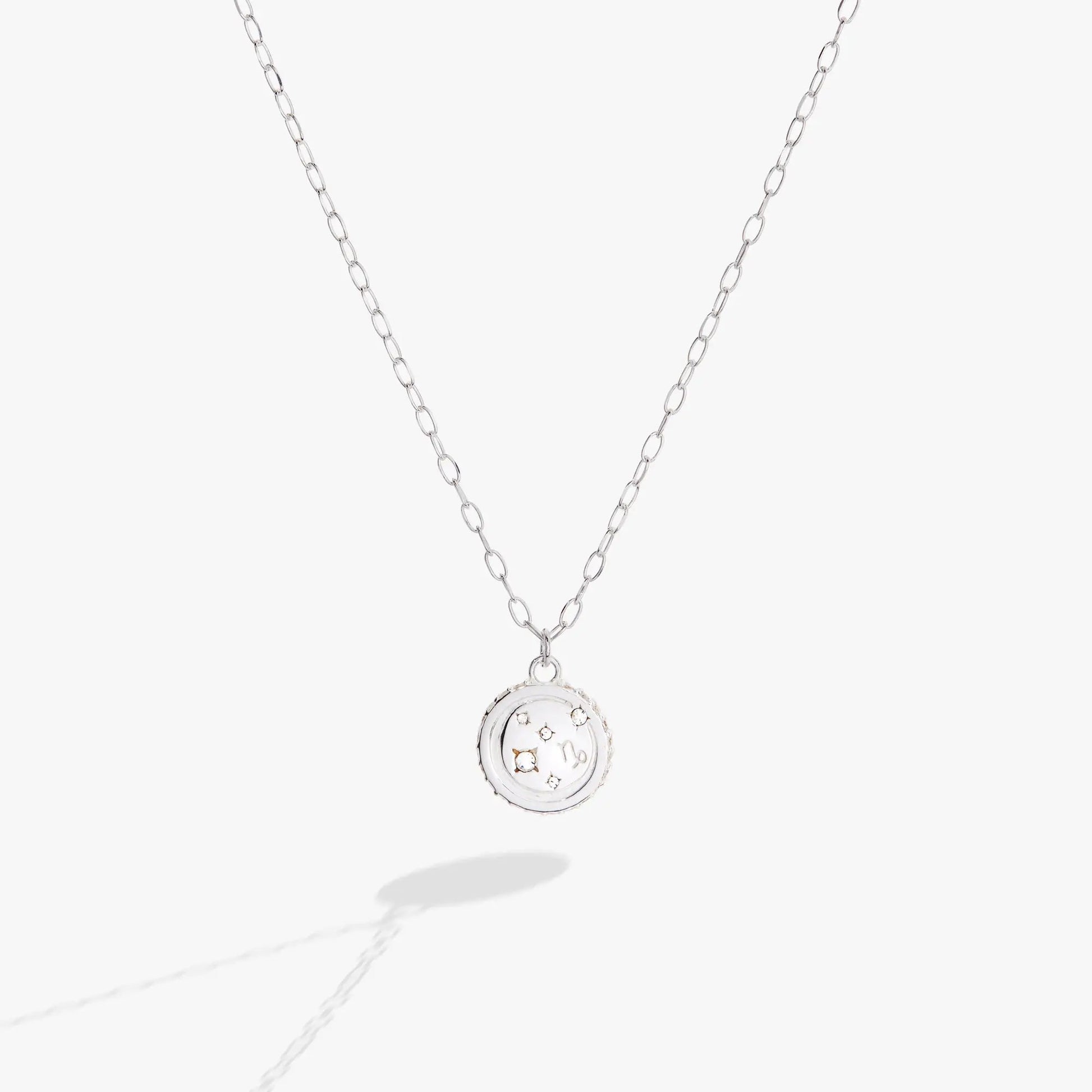 Capricorn Zodiac Precious Necklace, silver-tone chain with round zodiac pendant on Tampa Home & Garden Store