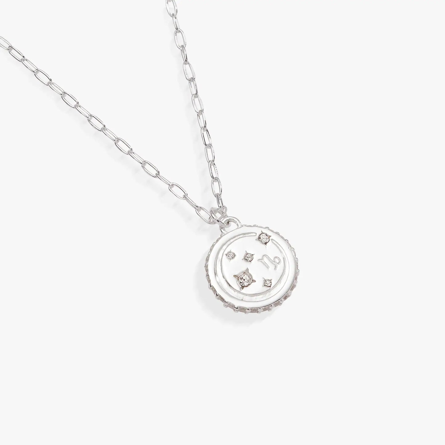 Capricorn Zodiac Necklace Alex and Ani with silver chain and crystal pendant on Tampa Home & Garden Store