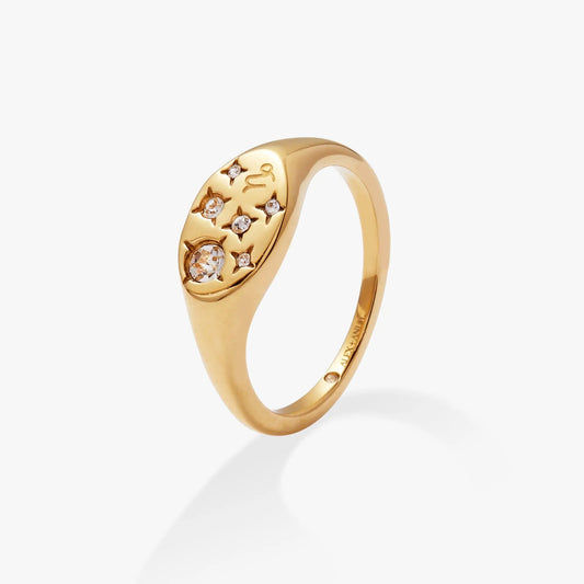 Capricorn zodiac ring in gold-tone by Alex and Ani with crystal accents on band on Tampa Home & Garden Store