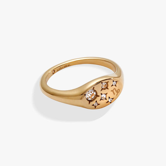 Capricorn Zodiac Ring by Alex and Ani in rose gold tone with crystal accents on Tampa Home & Garden Store