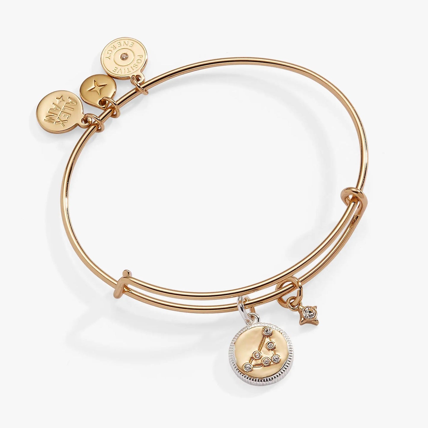 Capricorn Zodiac Charm Bangle by Alex and Ani in rose gold with charms and pendant on Tampa Home & Garden Store