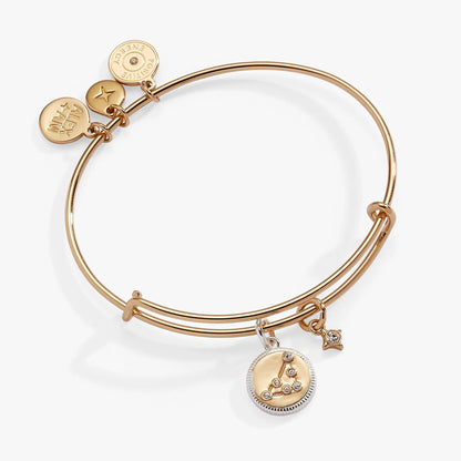 Capricorn Zodiac Charm Bangle by Alex and Ani in rose gold with charms and pendant on Tampa Home & Garden Store