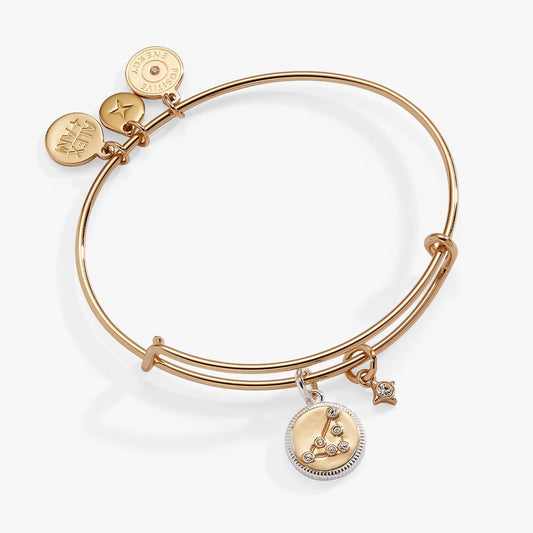 Capricorn Zodiac Charm Bangle by Alex and Ani in rose gold with charms and pendant on Tampa Home & Garden Store