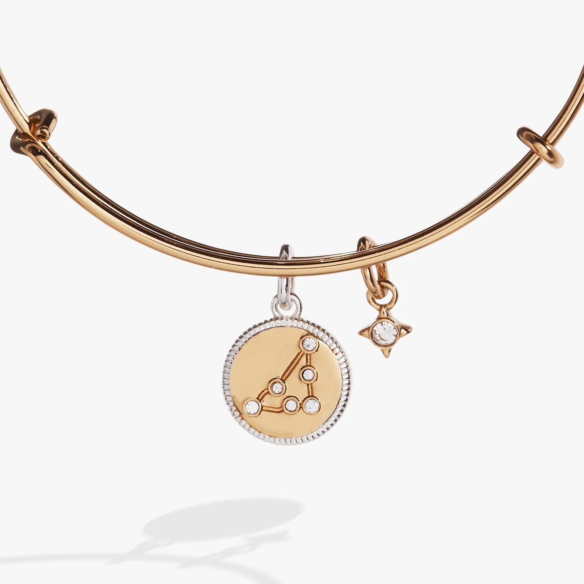 Capricorn Zodiac Charm Bangle, gold-tone ALEX AND ANI bracelet with Capricorn charm on Tampa Home & Garden Store