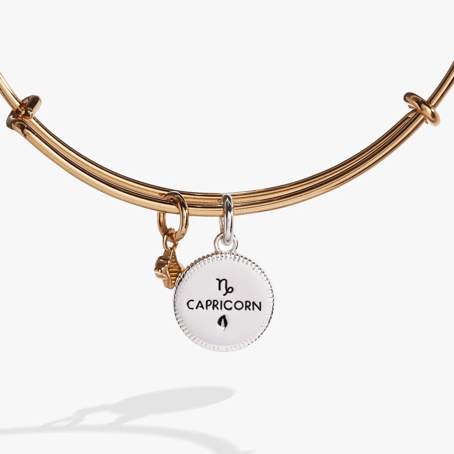 Capricorn zodiac charm bangle gold-tone bracelet with round pendant reading CAPRICORN on Tampa Home & Garden Store