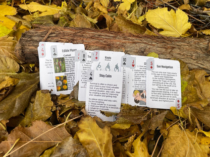 Life in a Pack Survival Playing Cards deck spread on a log among autumn leaves River Country Gear on Tampa Home & Garden Store