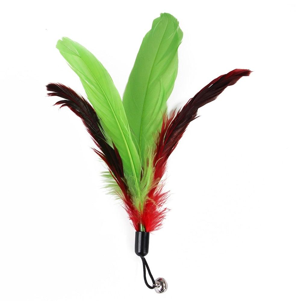Stevvex cat feather teaser wand with bright green and red feathers and a bell charm on Tampa Home & Garden Store