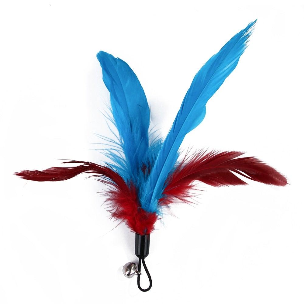 Cat Feather Teaser Wand Toy with blue and red feathers, retractable wand, Stevvex brand on Tampa Home & Garden Store