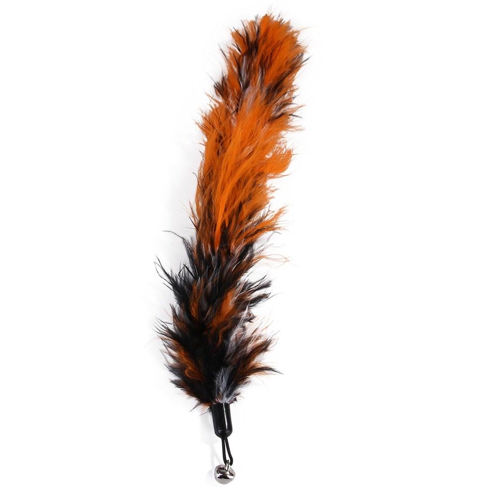 Cat feather teaser wand with orange and black plume and silver bell on Tampa Home & Garden Store