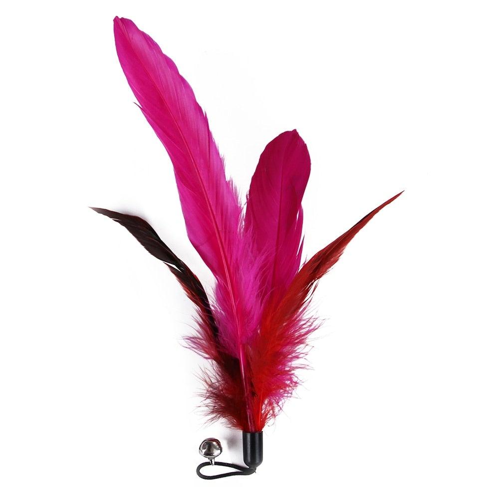Cat feather teaser wand with bright pink and red feathers, retractable indoor cat toy on Tampa Home & Garden Store