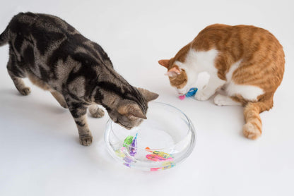 Cat interactive fish toy for indoor play; two cats inspect a bowl of colorful plastic fish on Tampa Home & Garden Store