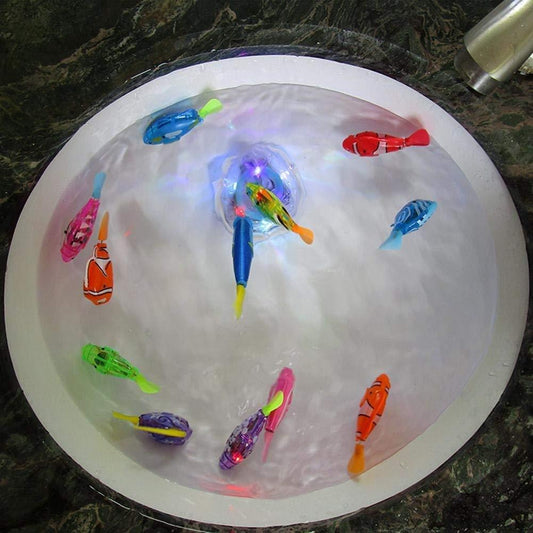 Cat interactive water toy with LED lights for indoor play, floating fish in round pool on Tampa Home & Garden Store