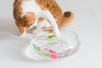 Stevvex cat interactive water fish toy in glass bowl with colorful small fish, cat reaching in on Tampa Home & Garden Store