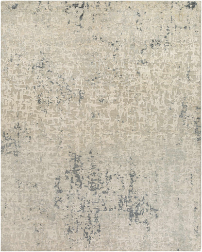Cayuga Area Rug by Boutique Rugs in beige with blue-gray distressed abstract pattern on Tampa Home & Garden Store