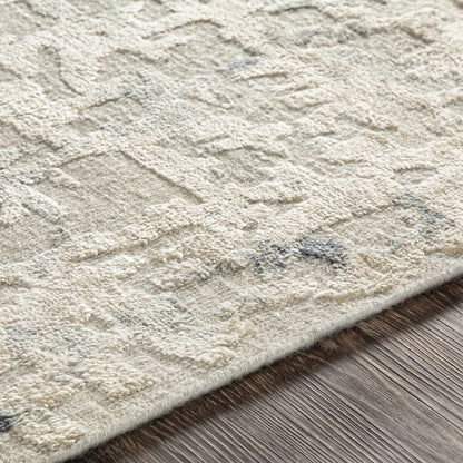 Cayuga Area Rug by Boutique Rugs, beige textured shag, clearance on Tampa Home & Garden Store