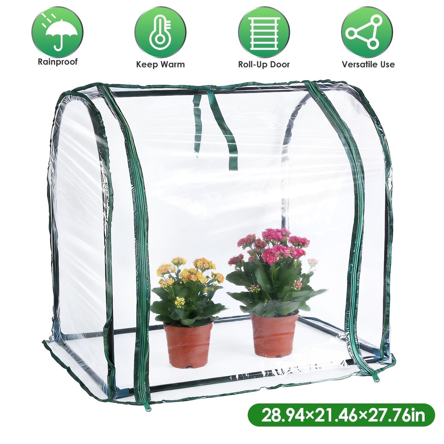 GemGear tabletop greenhouse clear plastic with green trim, 2 potted plants inside on Tampa Home & Garden Store