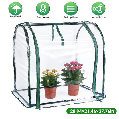 GemGear tabletop greenhouse clear plastic with green trim, 2 potted plants inside on Tampa Home & Garden Store