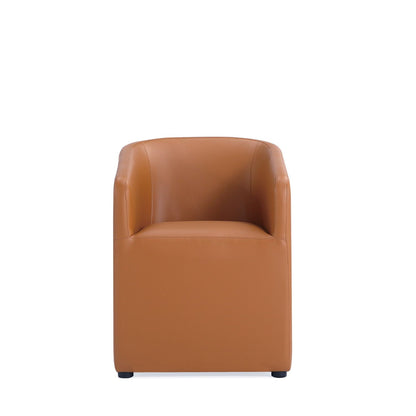 Anna and Modern Round Vegan Dining Armchair