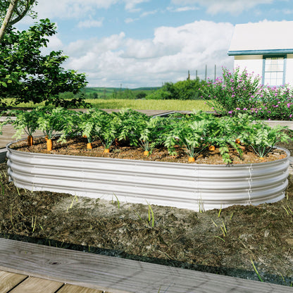 Galvanized raised garden bed kit planters round metal bed with soil and carrot plants on Tampa Home & Garden Store
