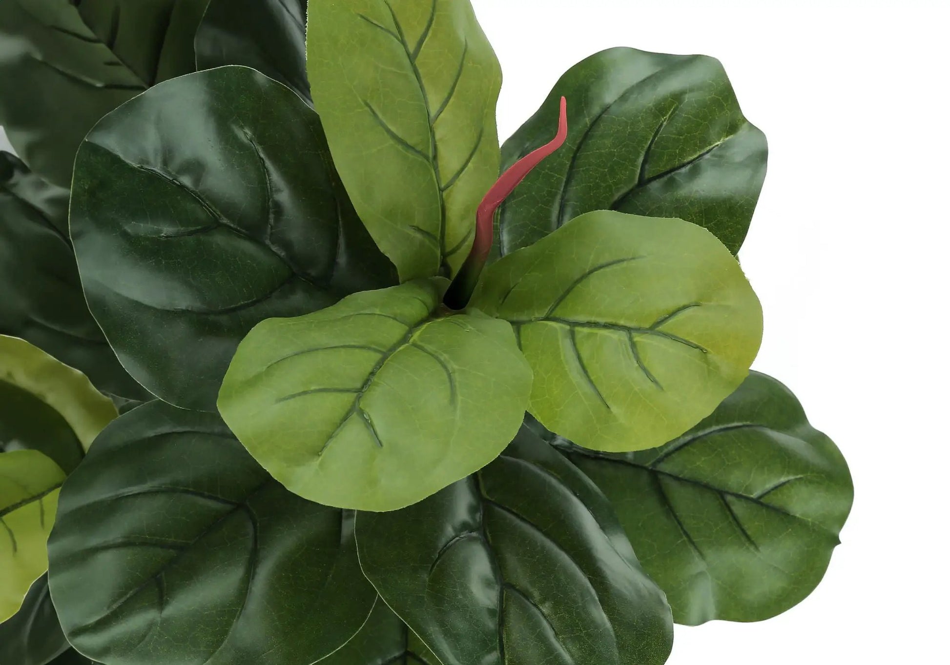 Fiddle leaf tree artificial plant with dark and light green real-touch leaves on Tampa Home & Garden Store
