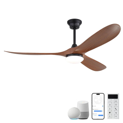 Smart Ceiling Fan With Lights, DC Motor Indoor