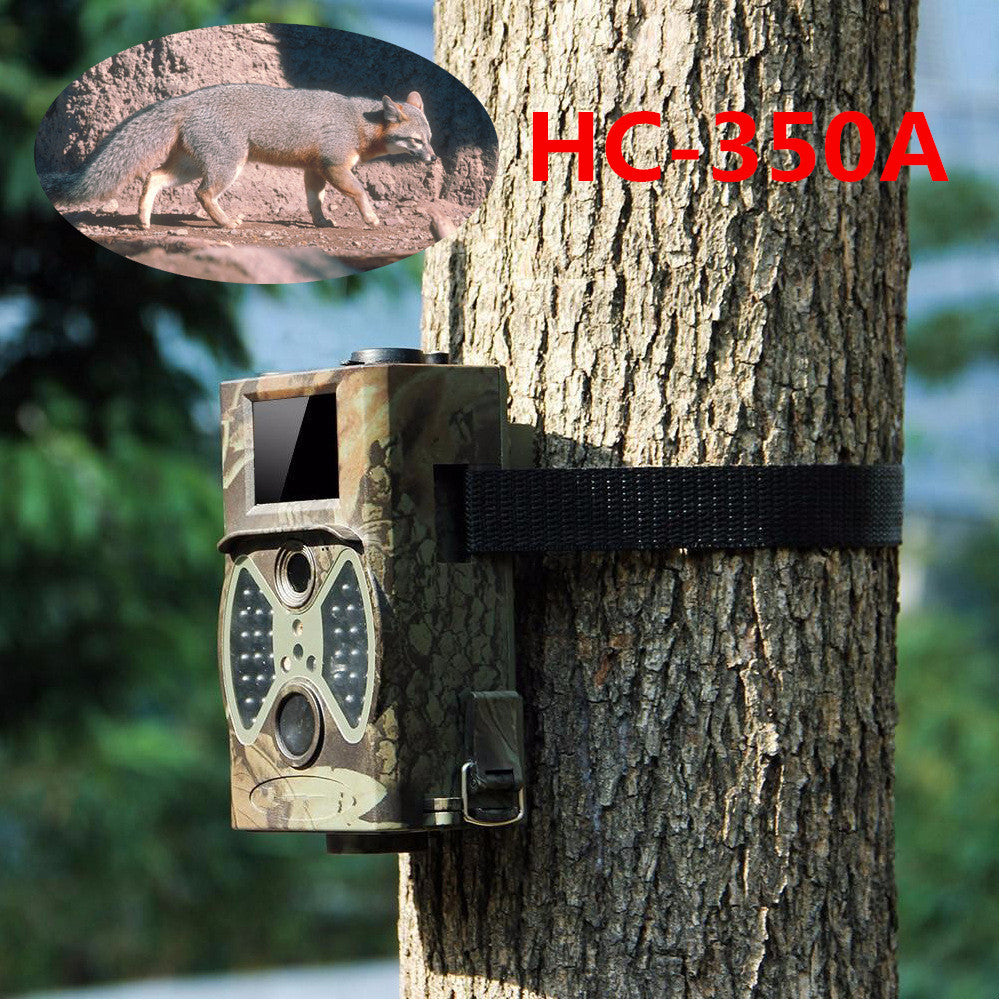 Indoor Outdoor Security Surveillance Camera in camo housing mounted on tree with strap HC-350A on Tampa Home & Garden Store