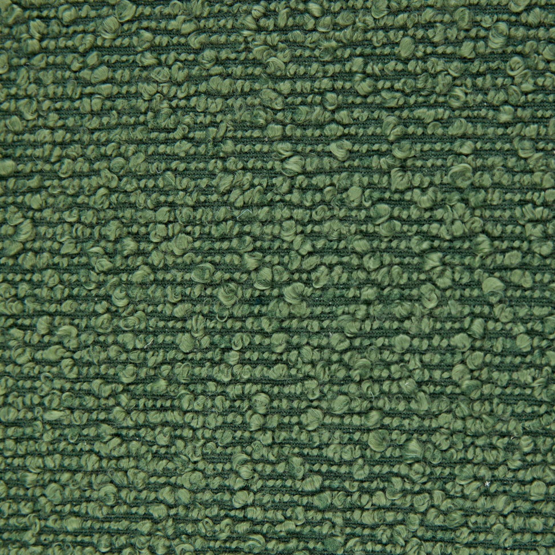 Green loop-pile carpet close-up texture on Tampa Home & Garden Store