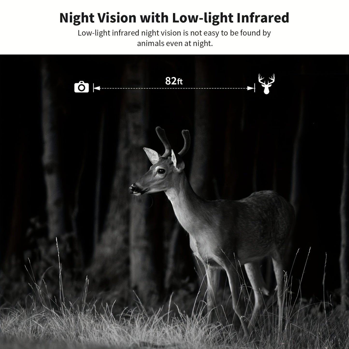 4K Hunting Trail Camera with 4G Live View - Solar Powered, 0.2s Trigger & Auto Night Vision
