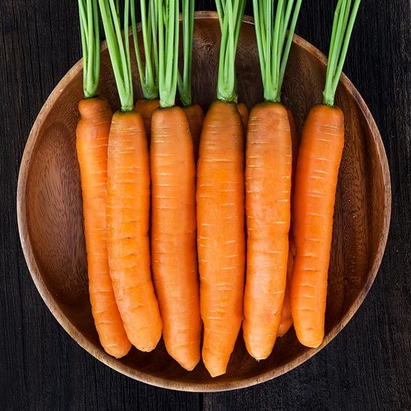 Yaya F1 carrot fresh orange carrots with green tops in a wooden bowl six roots on Tampa Home & Garden Store