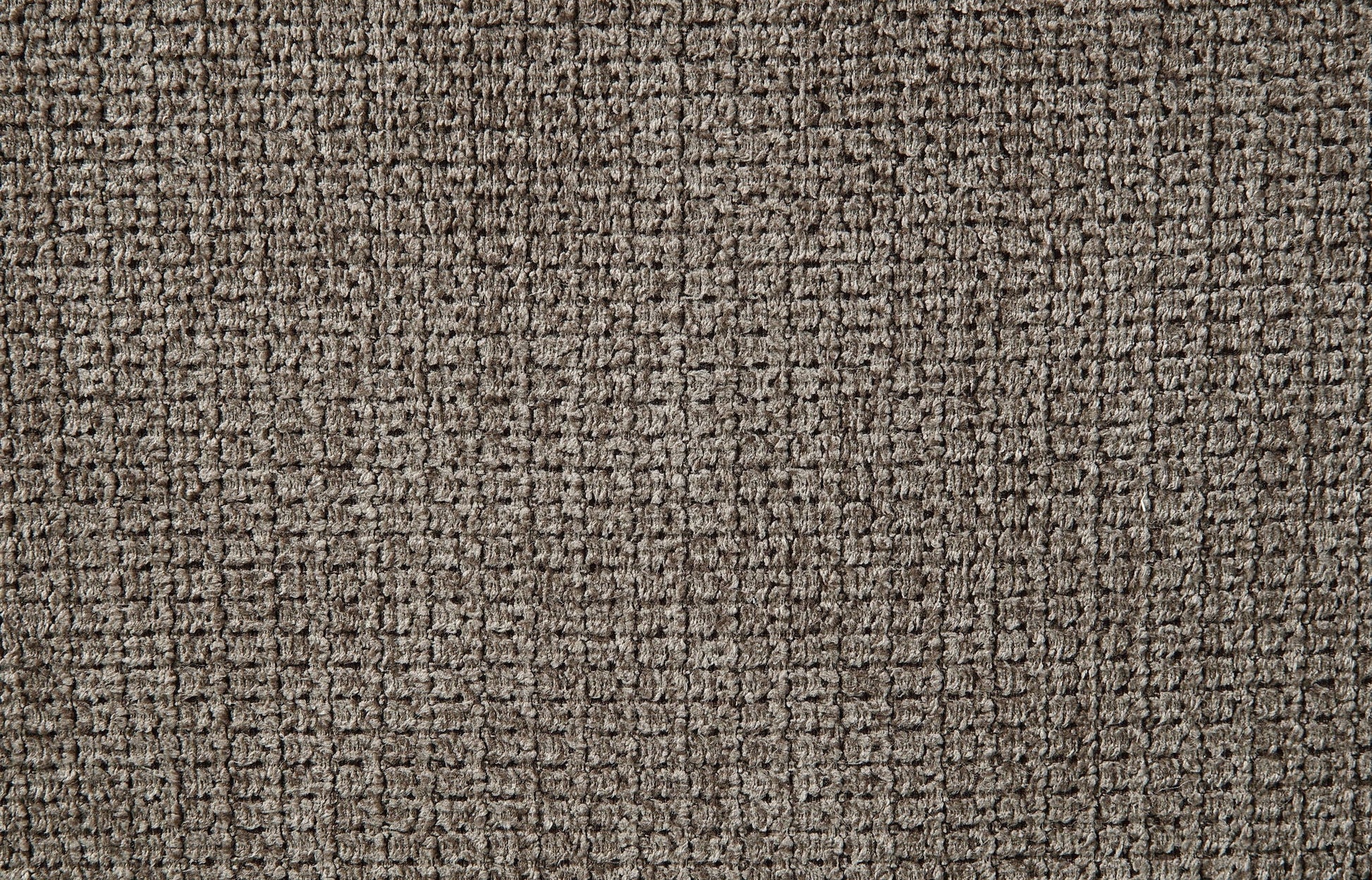 Carpet close-up in brown with dense loop fibers on Tampa Home & Garden Store