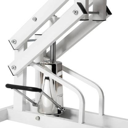 Hydraulic Pet Grooming Table with H‑Arm, white frame and chrome pedestal on Tampa Home & Garden Store