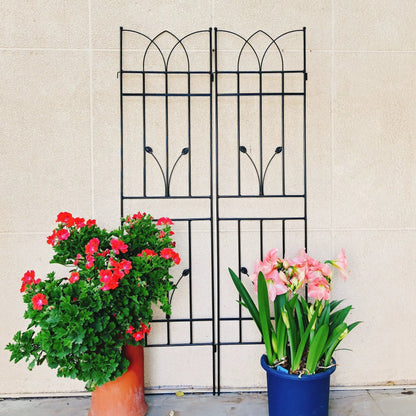 Rustproof Metal Trellis For Climbing Plants